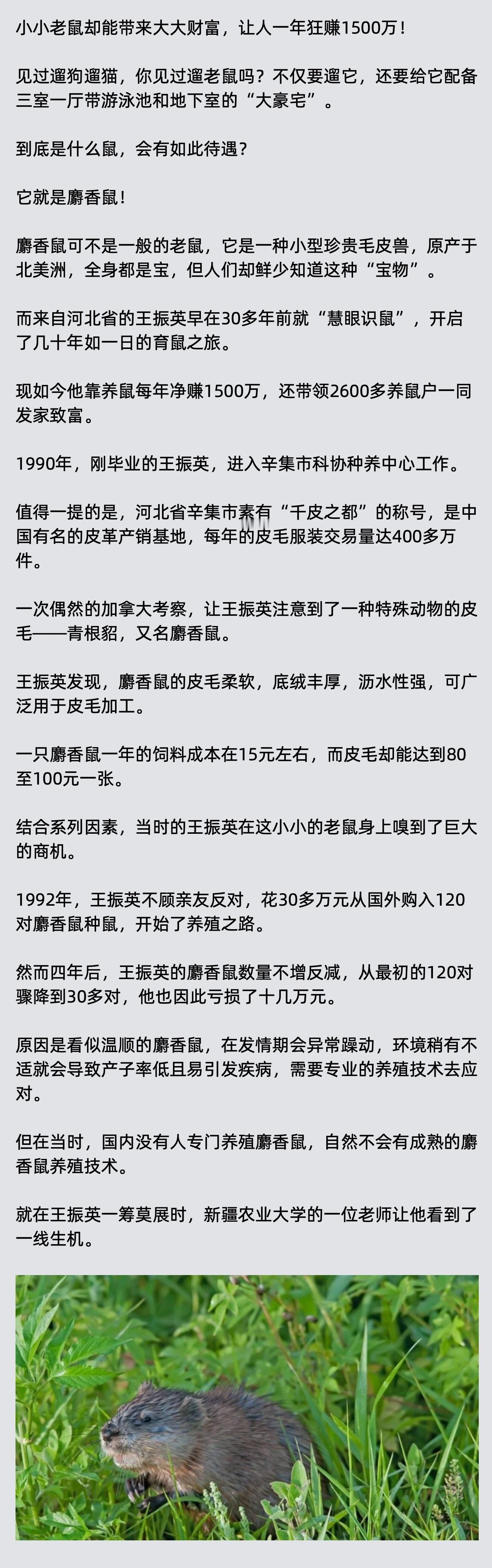 河北大叔迷上养“神秘的老鼠”，一年狂揽1500万，就连央视也点赞 