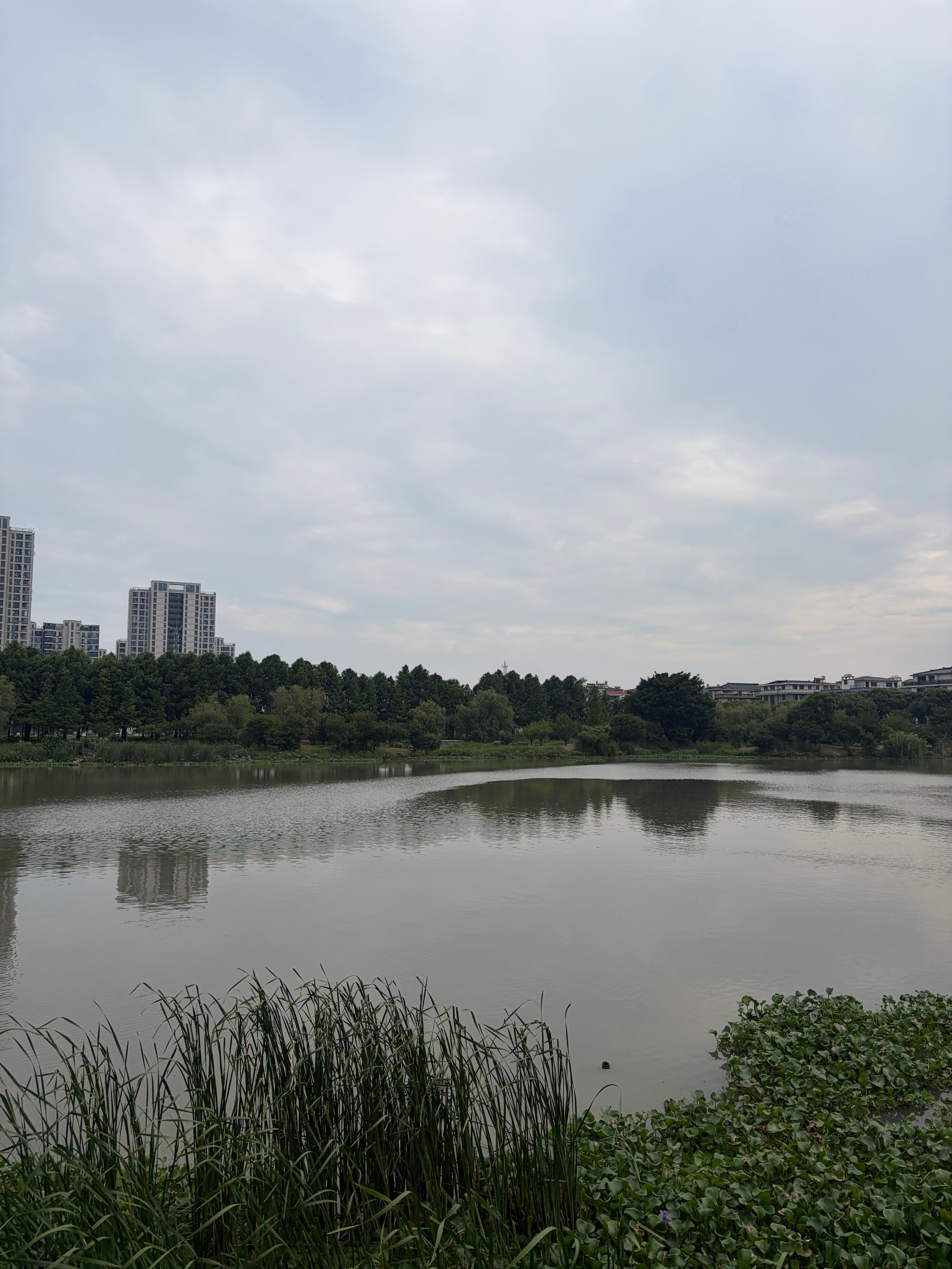 跟小白一起大户外了。这一条河不知道到底有多长，很快两座桥岸边的风景美到令人忘记小
