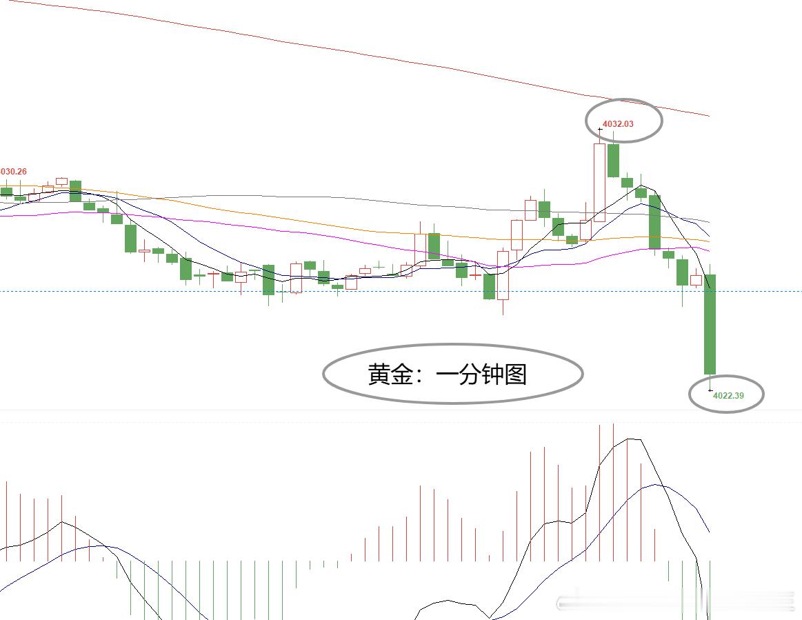 提前布局黄金4032位置空，现报4022位置已有100个点，跟随者建议先撤！微博