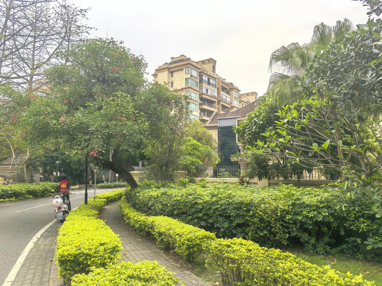 今年春天最想实现的心愿绿道