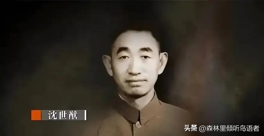 1949年，潜伏在敌人内部的地下党员沈世猷被限制自由，无法送出情报，这时，妻子打