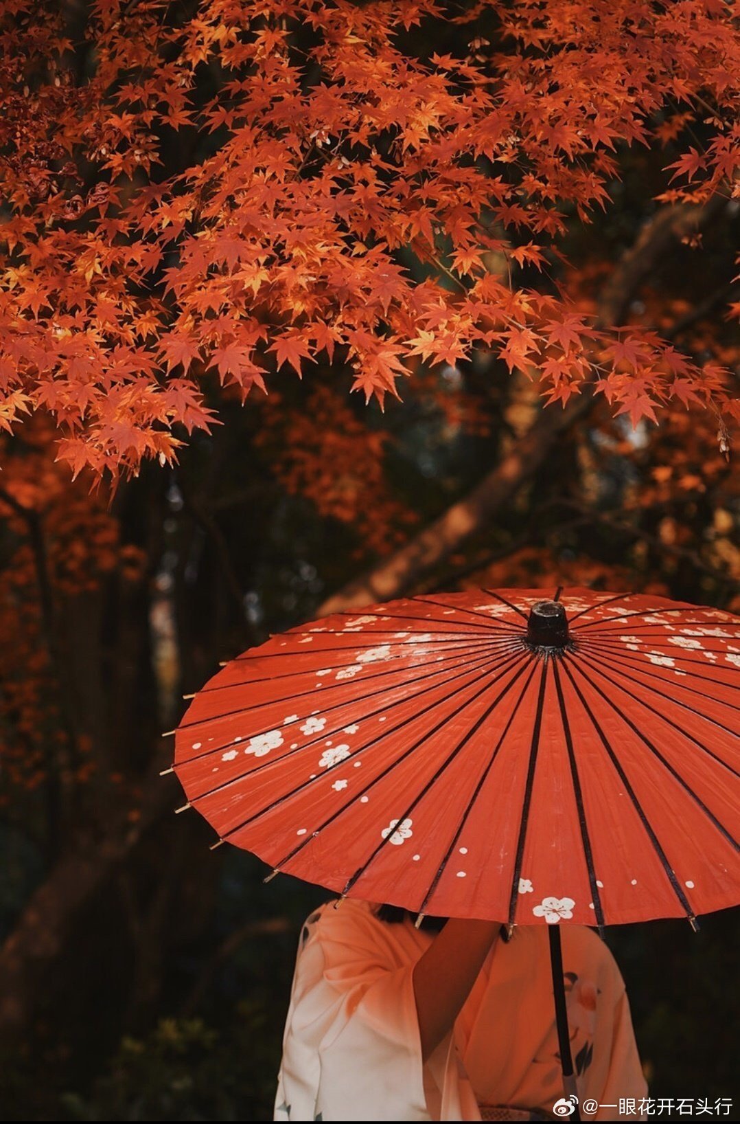 每一次各个板块轮动到轮不动了每一次短线选股很困难了你看着各个标的形态都好丑以后，