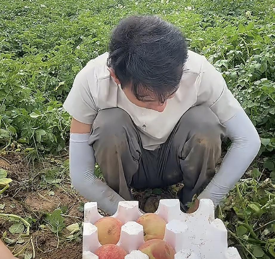 厉怀远太接地气了
今早直播带货卖桃子的厉怀远直播间短短几分钟就涌入5000多人，