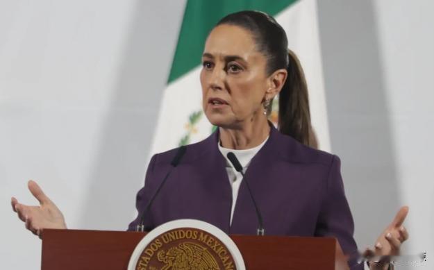 针对荷兰的“光刻机之争”，中国这次不只动手，而且要一击致命！
这回真不是吓唬谁，