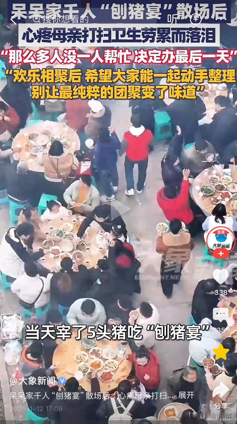 终于知道呆呆的“刨猪宴”为什么才办了两天就停了，不是因为猪不够，也不是因为没有网