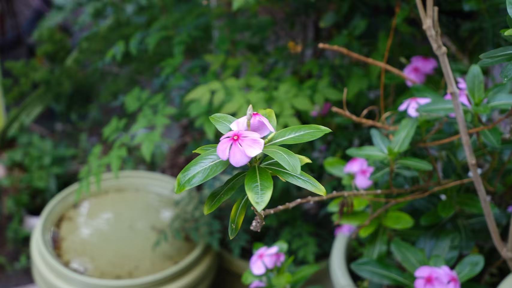 r5每日一记 四月满载 