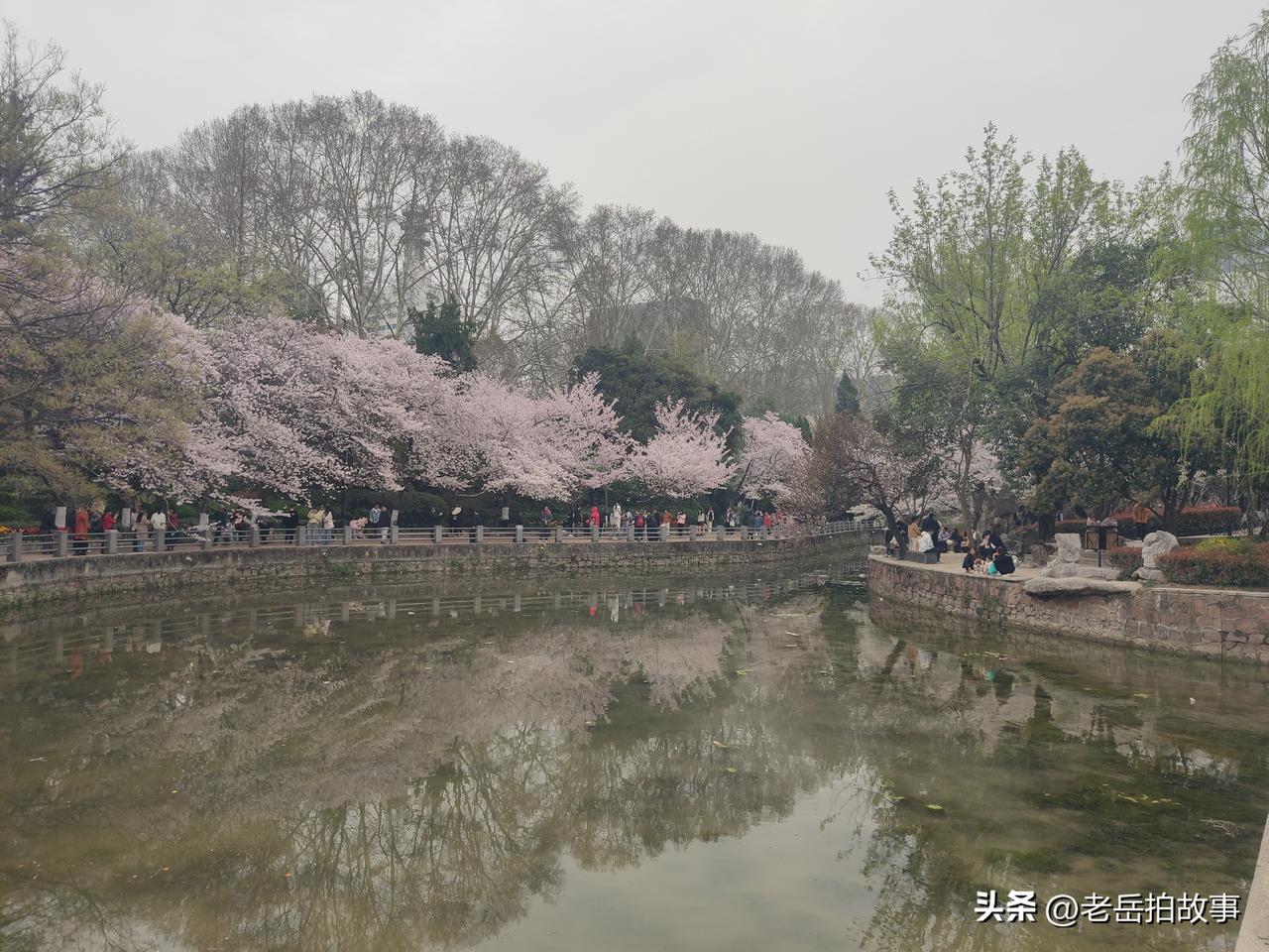 赏花正当时:郑州市人民公园里的花花世界！