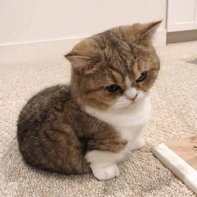 又是苦逼的一天