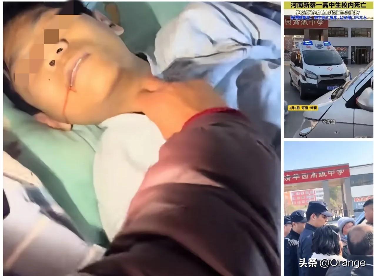 孩子没了，
连最后一面都要被“抢时间”？
河南新蔡这事，
真的寒透了人心。
 