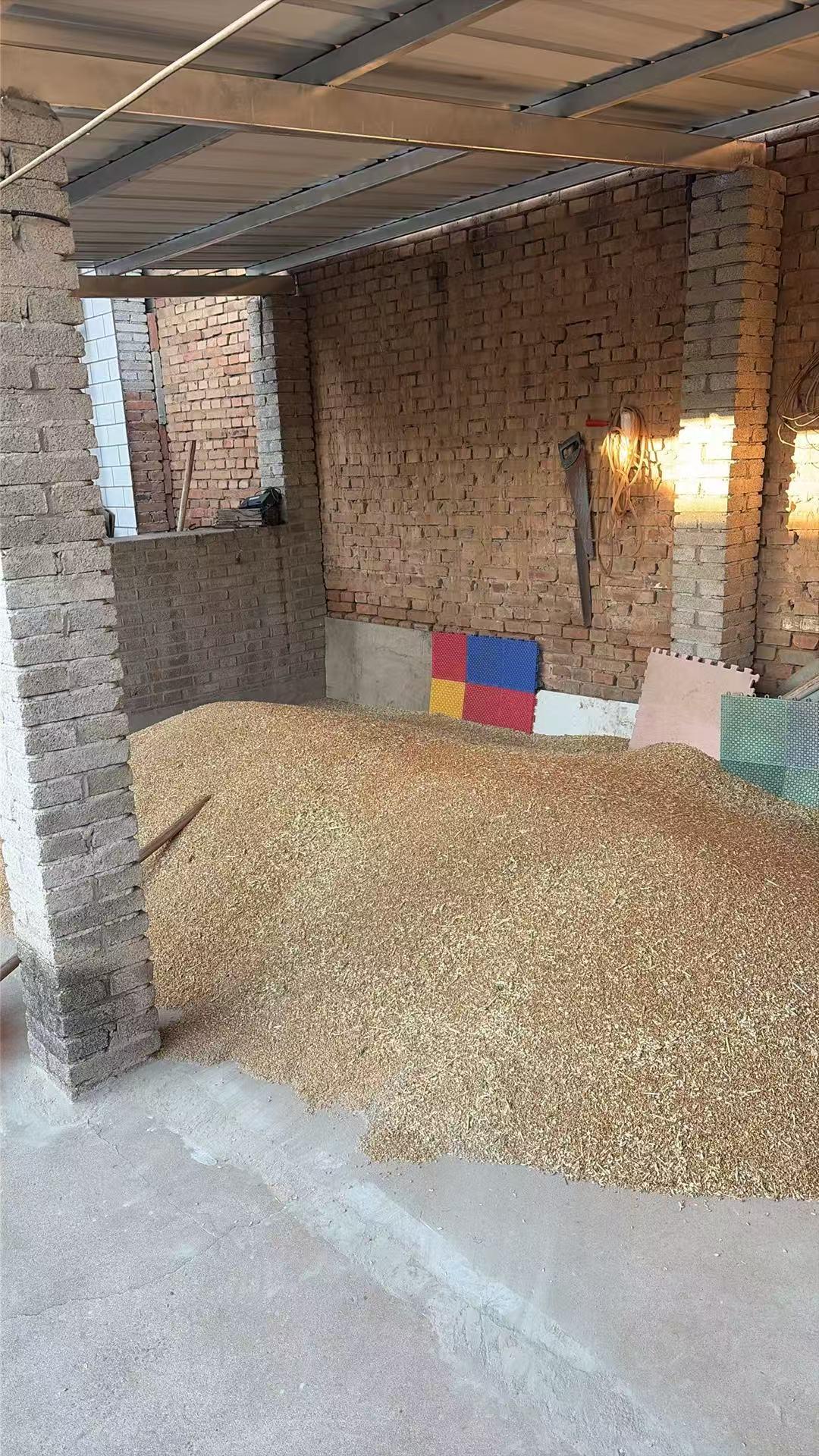 每年都是姐姐弟弟回家帮父母收小麦，得知收完了心里踏实多了，有机会一定好好请他们吃