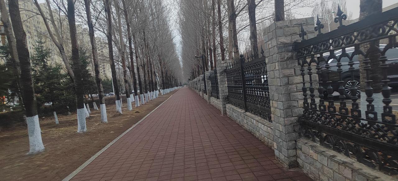 我妹妹昨天来我家，买了一斤大樱桃。我问多少钱一斤，她说：65元。

然后妹妹对我