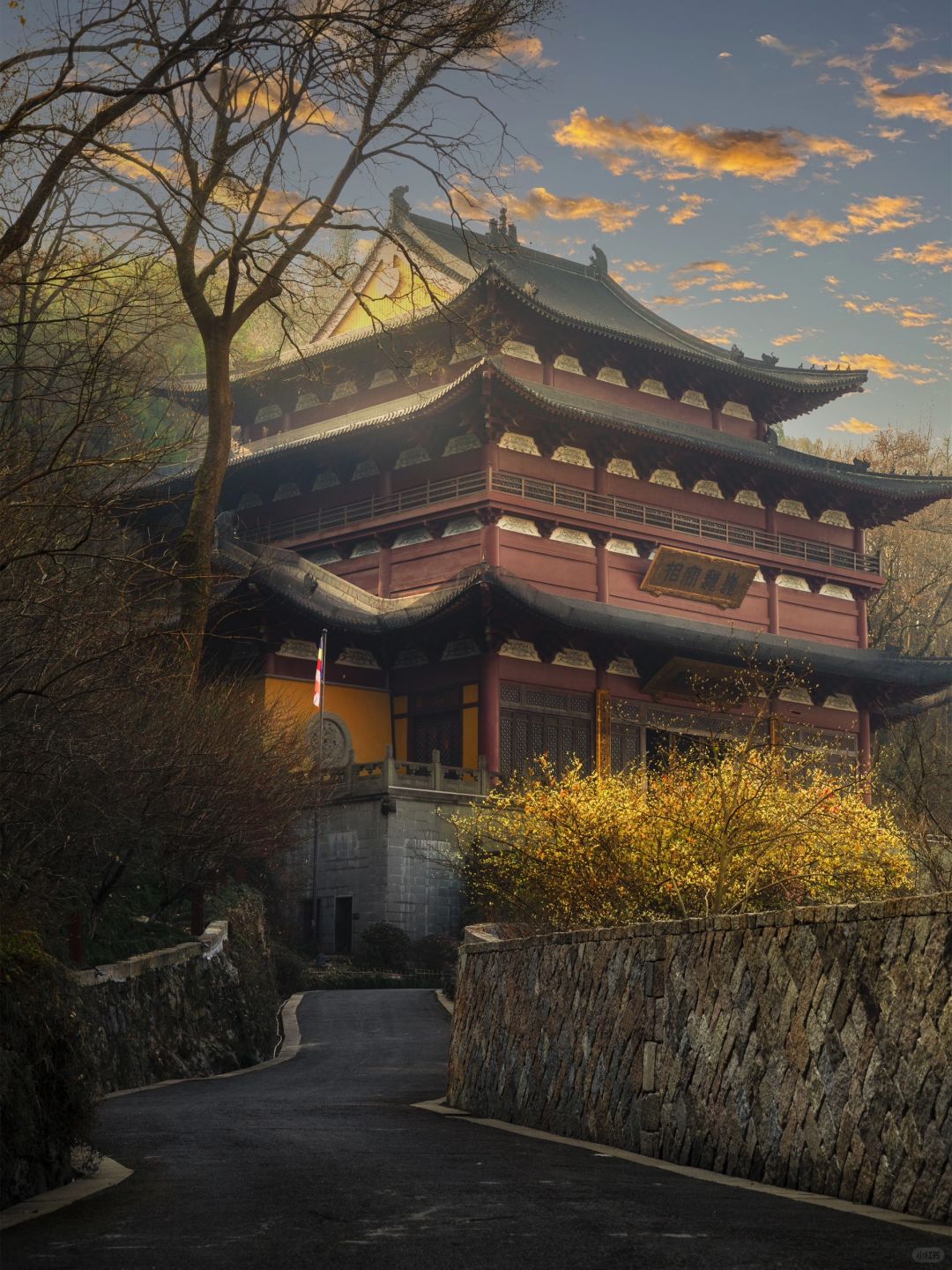 净慈寺|梵音花路的两旁 一树腊梅出墙来❗️