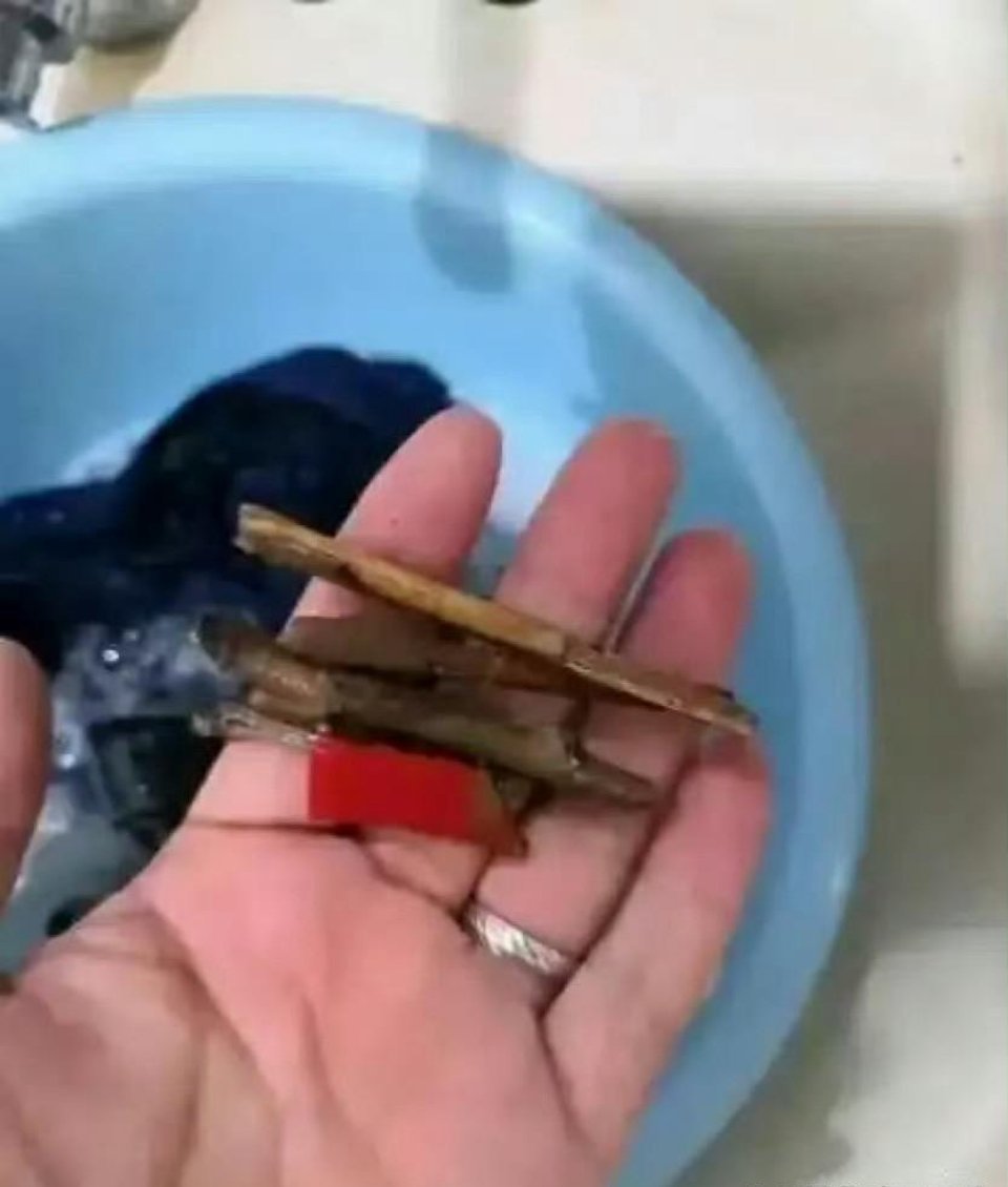 洗衣服裤兜里发现的 要不要直接扔掉 