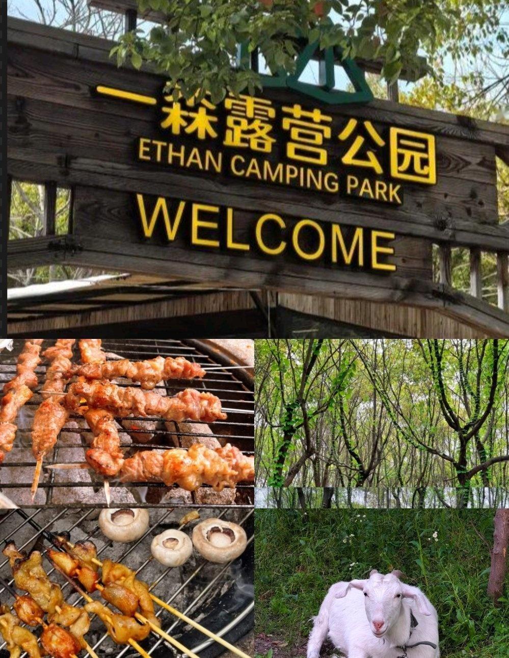 ✨和部门小伙伴来这团建真的超出预期,营地位于文创园内的树林区，绿荫环绕特别清凉，