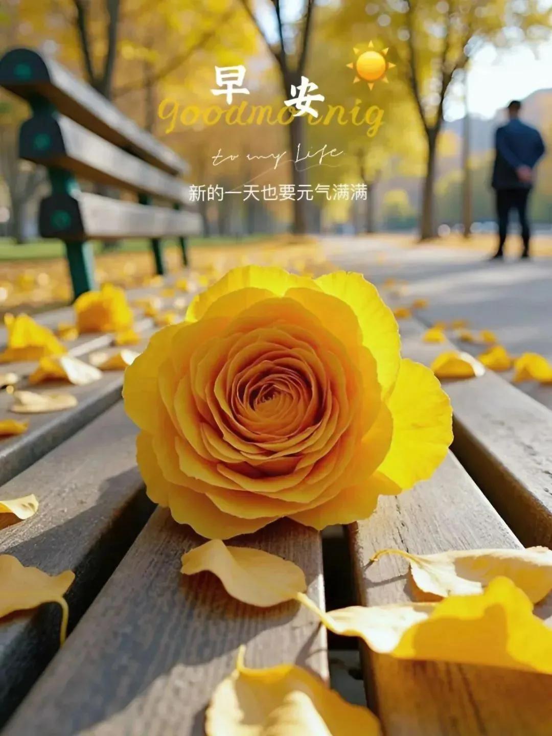 早安朋友圈素材：尽情打扮，尽情可爱

🌷🌷🌷
2024.10.25  早安