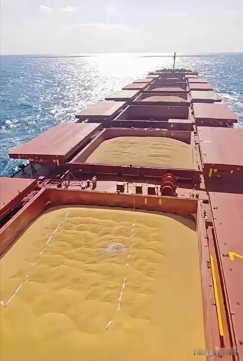 10月下旬至11月初中粮集团刚从美国购买18万吨美农大豆，中方暂停稀土管制新规。