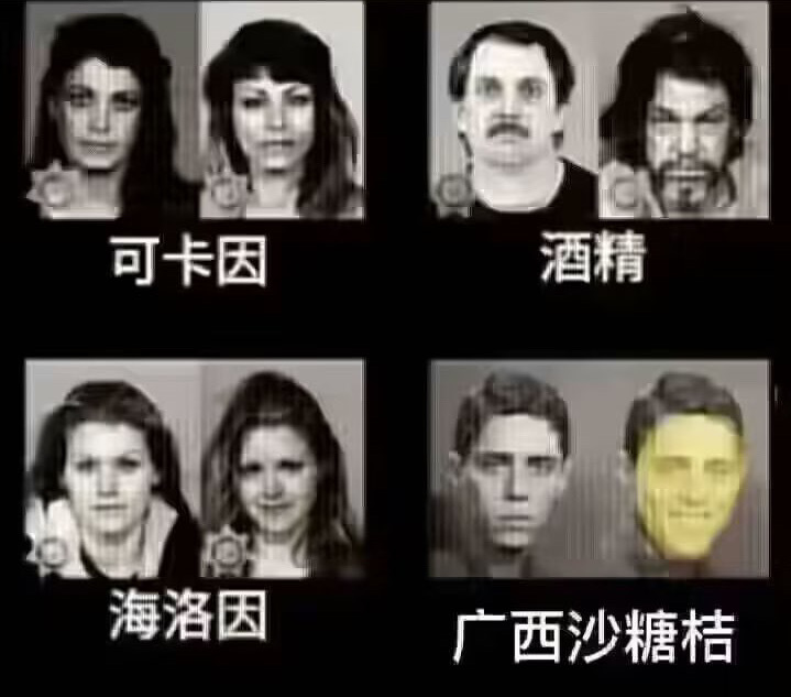 又快到狂炫砂糖桔的时候 ​​​