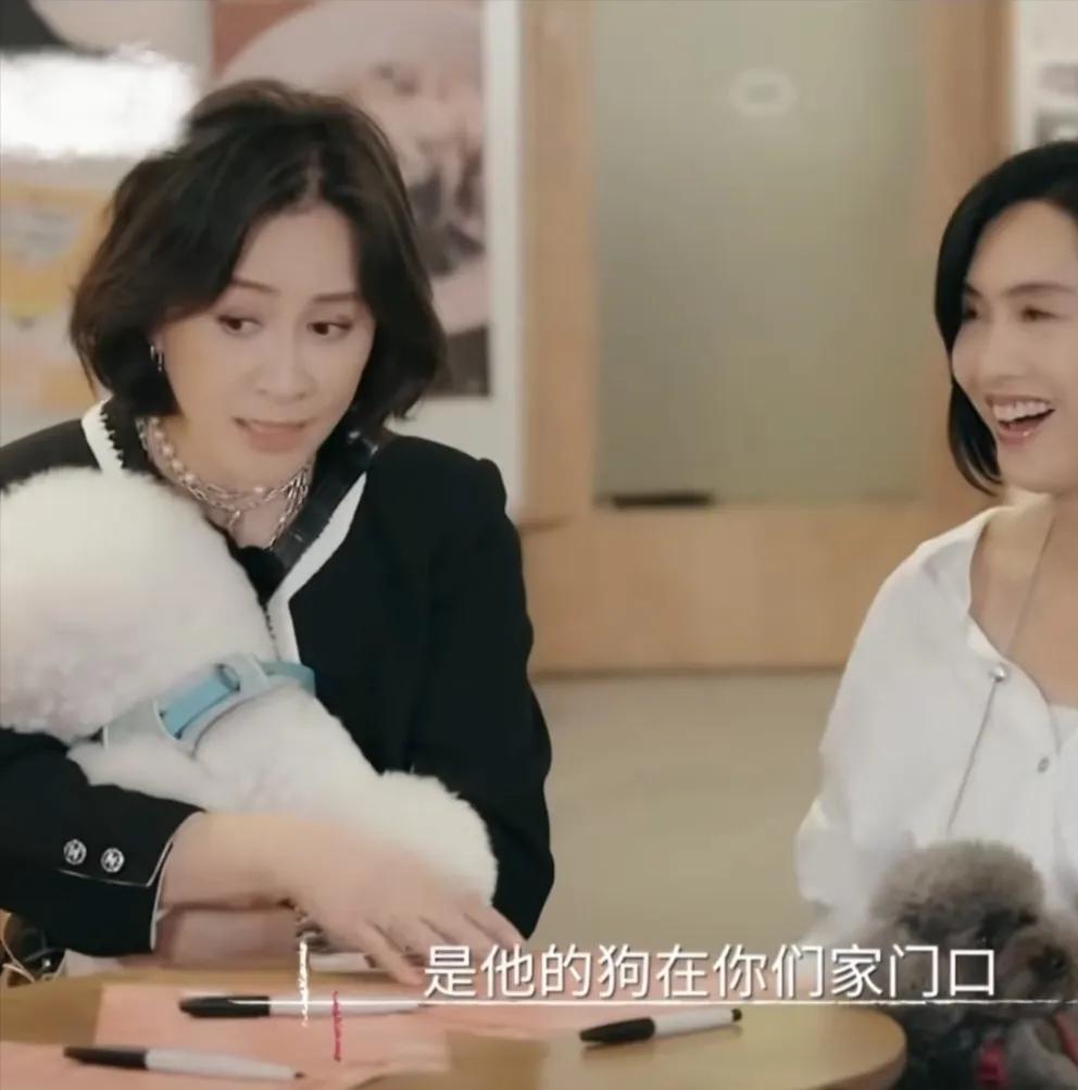 刘嘉玲：你们认识是他的狗在你们家门口
朱茵：是的
刘嘉玲：有没有跟他聊过
他是故