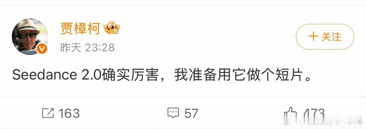 贾樟柯称要用seedance2.0做短片贾樟柯评价Seedance2.0外国博主