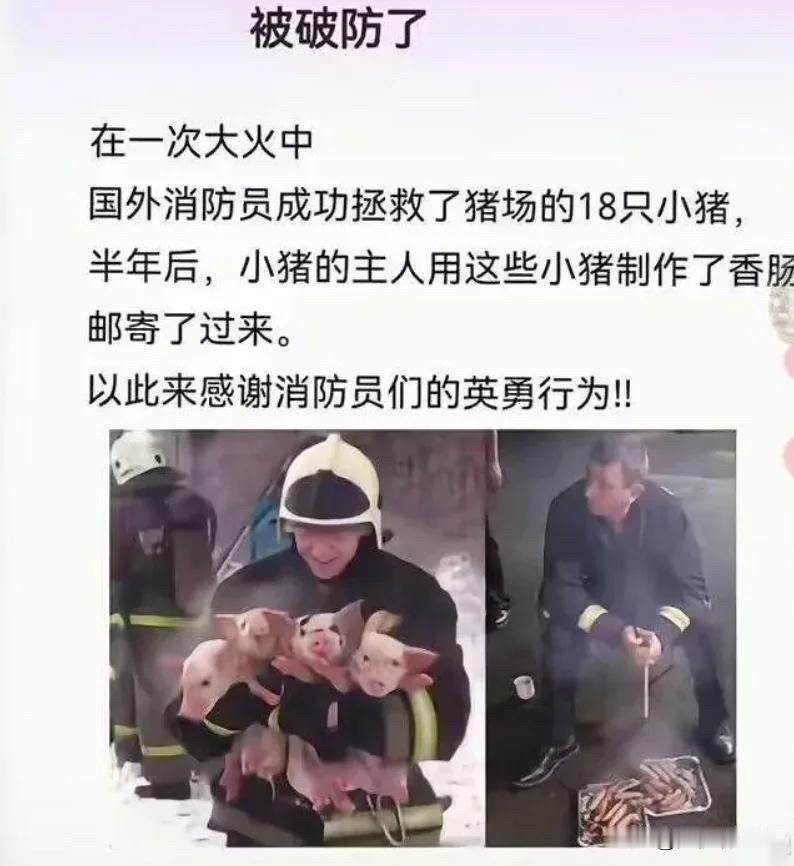 这有什么破防的？
不挺好么，挽回了经济损失，最后知恩图报！
真是“滴水之恩，用肠