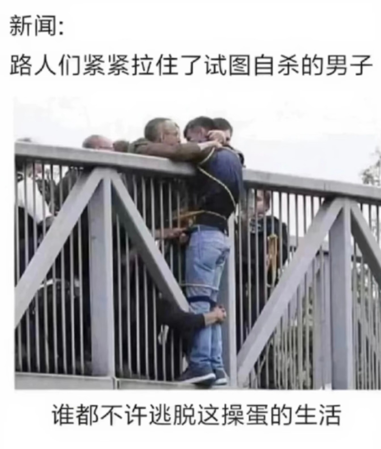三五，火地晋锦绣满地，良辰明君注意肠胃，心脏，背部宜：装修 动土 修造 签约 纳