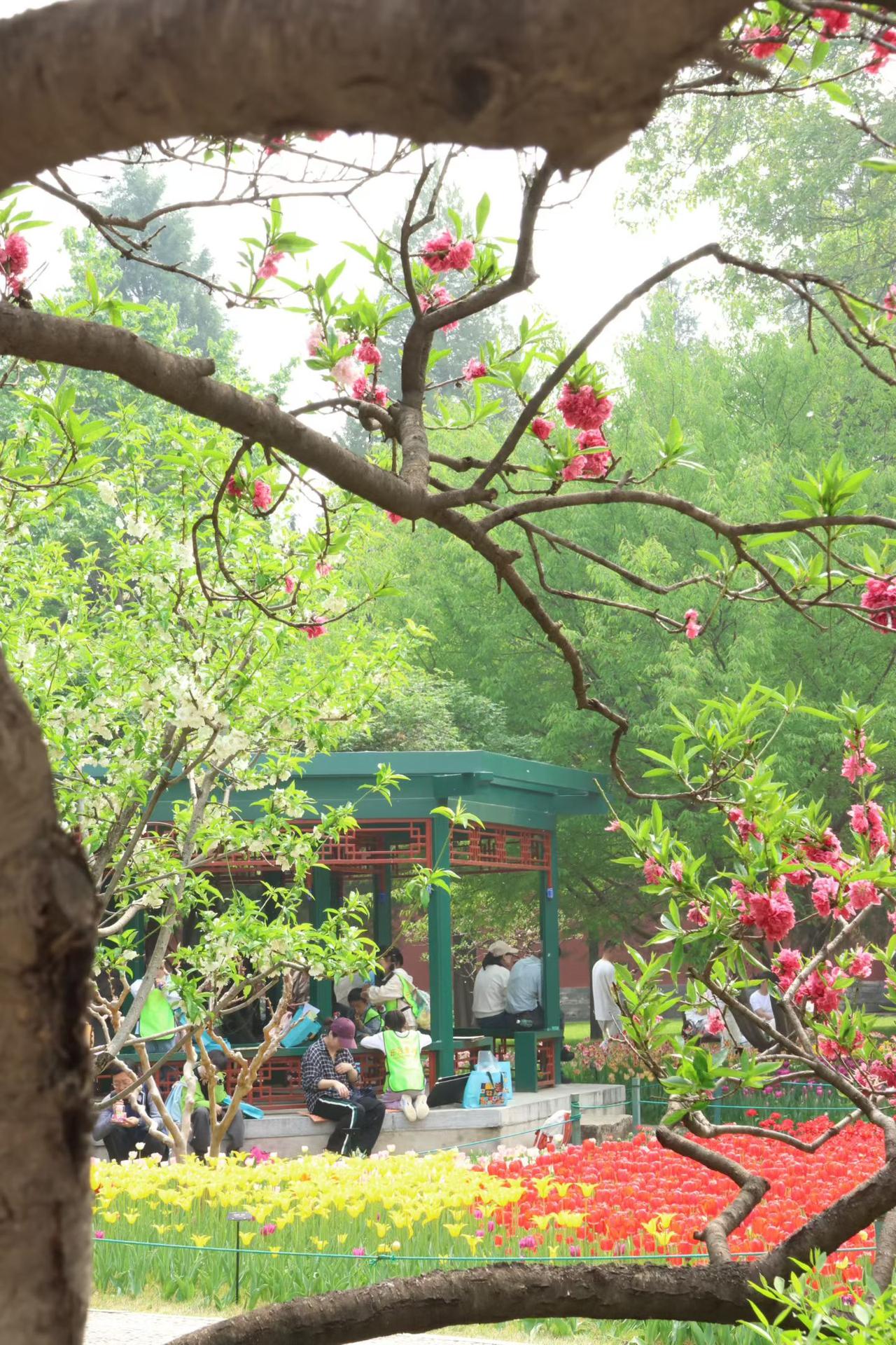 《蝶恋花·春园雅集》
 
粉靥枝头霞欲颤，翠幄层深，暗把晴光绊。
亭角流红香漫卷