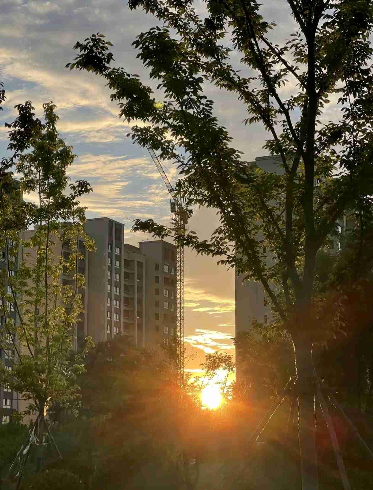 我的今日状态：😁轻松愉快
我这里的天气：☀️晴天

ᯐ𓇠ෆ𓏥♥♥

   