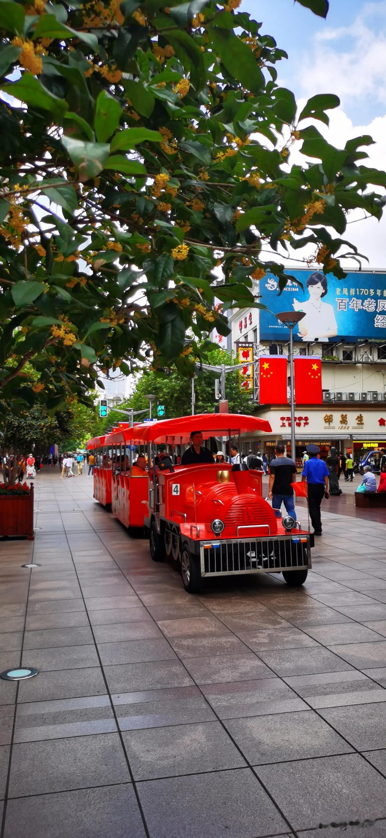 桂花香飘南京路