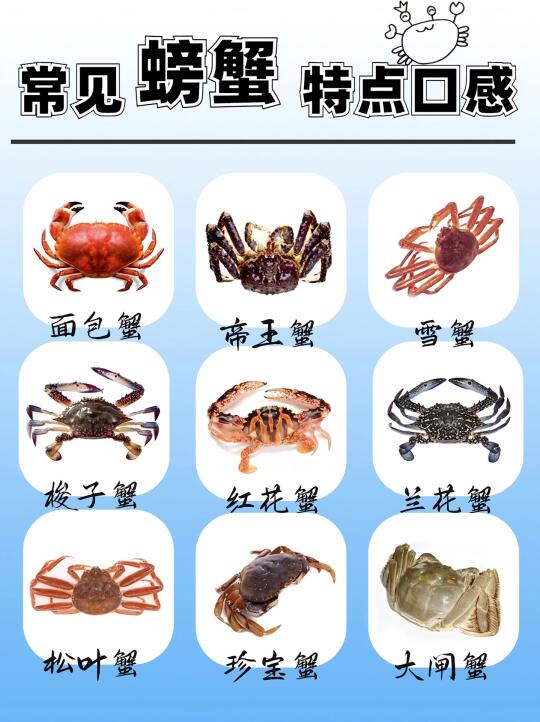 🦀常见螃蟹特点口感大揭秘 | 吃蟹攻略来啦