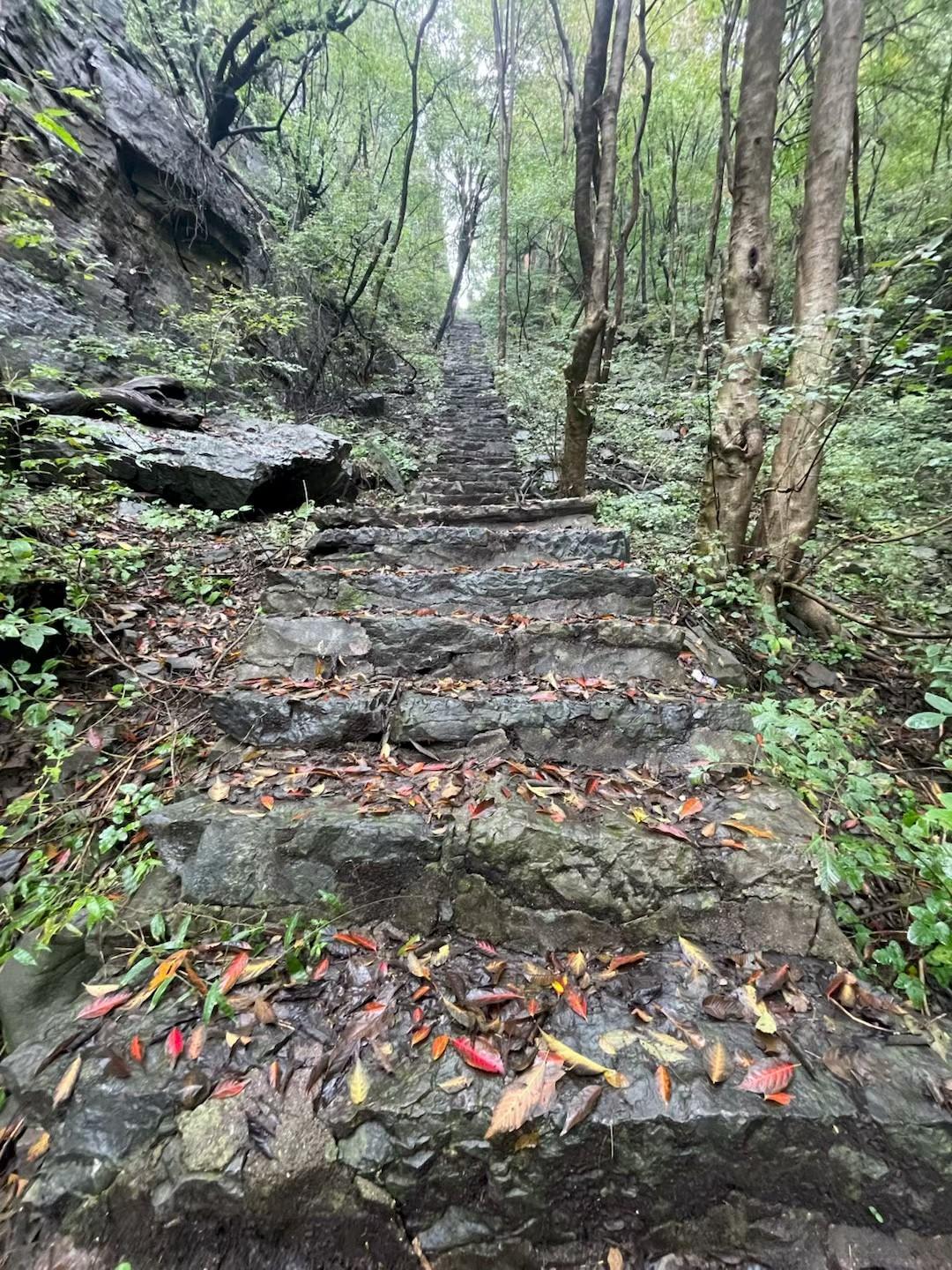人生四句智慧话：穷在犟杠，福在忍让，毁在怒狂
 
一段对话分享了人生很有道理的四