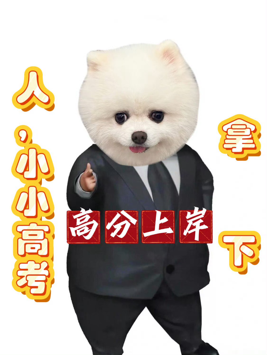 祝高考一切顺利！岸见！ 
