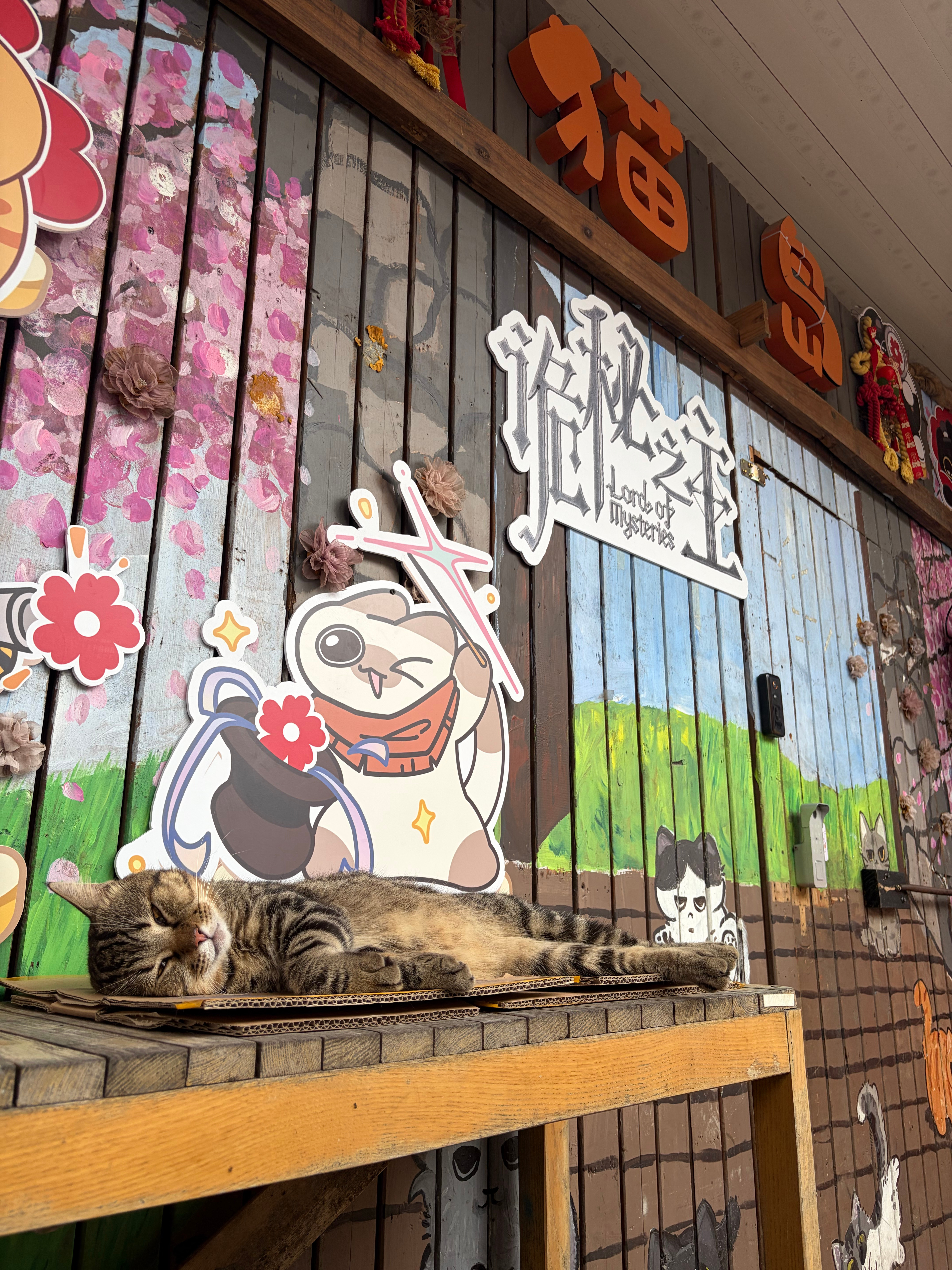 给小猫咪做月饼啦～ ​​​
