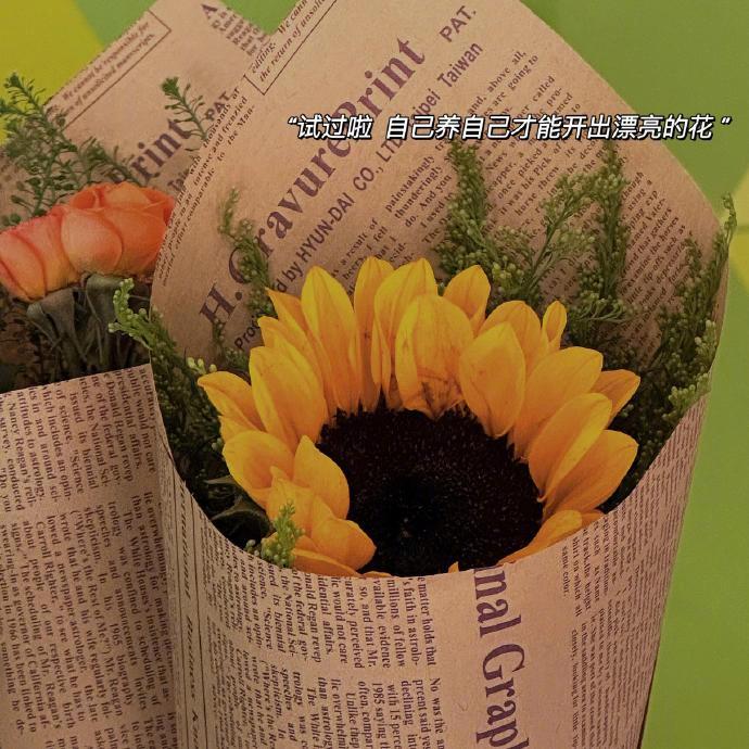 ᕱ ᕱ＝•ᴥ•＝•ᴗ•＝💐希望你过得好 像照片一样不用加滤镜 也是暖色调 