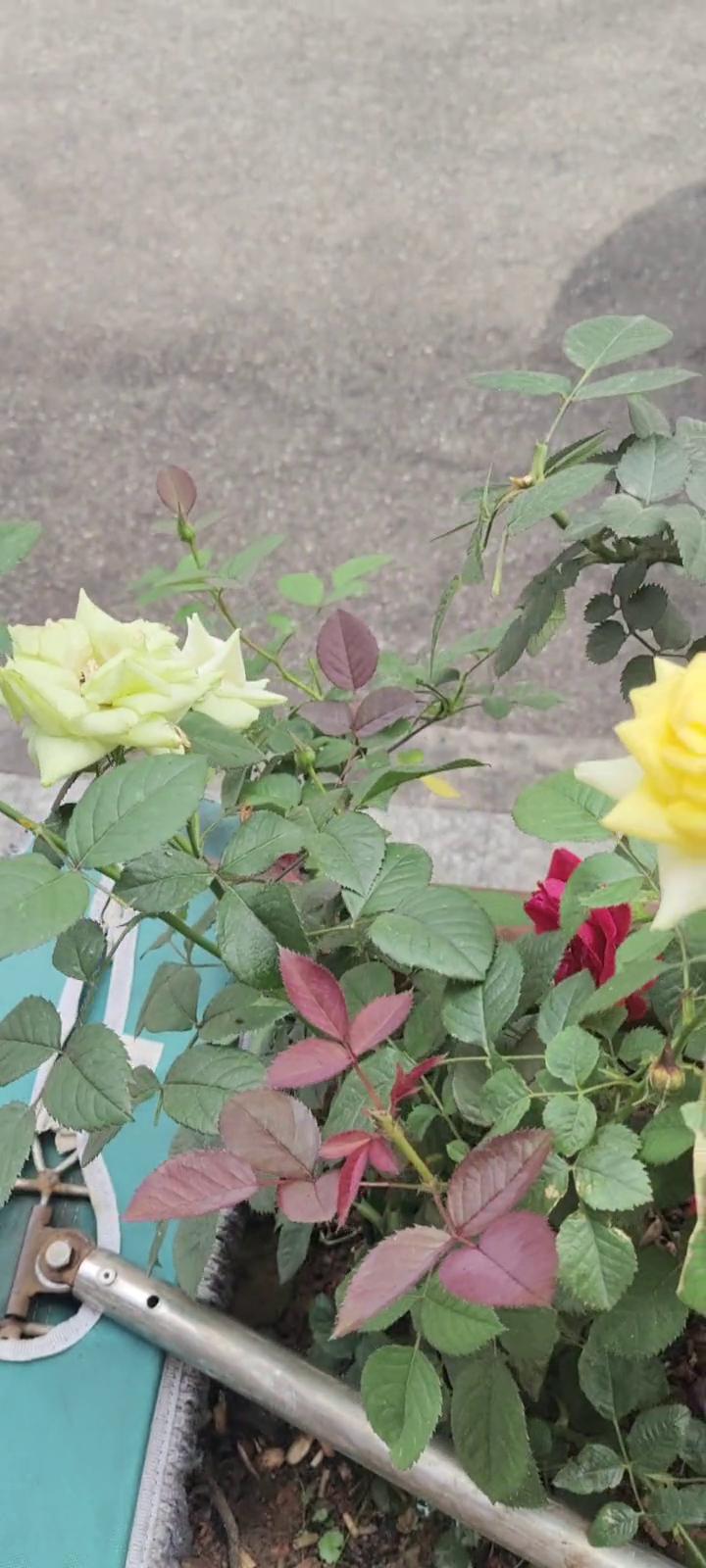 想特色，想吃，全国保养皮肤。