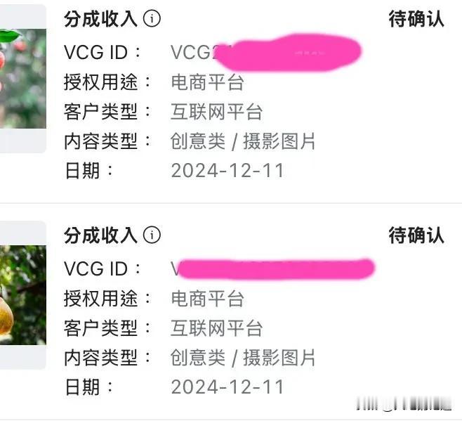 24年图库成绩单基本确定，上图交易15次，下图价格年度最高、交易次数3。