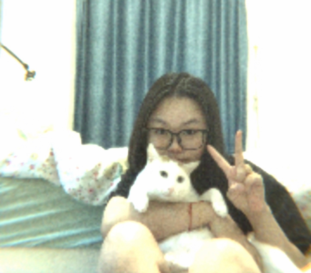 小猫咪 