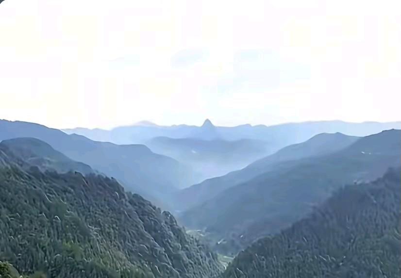 我四川本地人，82年南下广东上海北京出门打工，打工前，家里吃酸菜稀饭下泡菜，打了