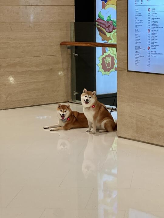 商场🈲停车🅿️