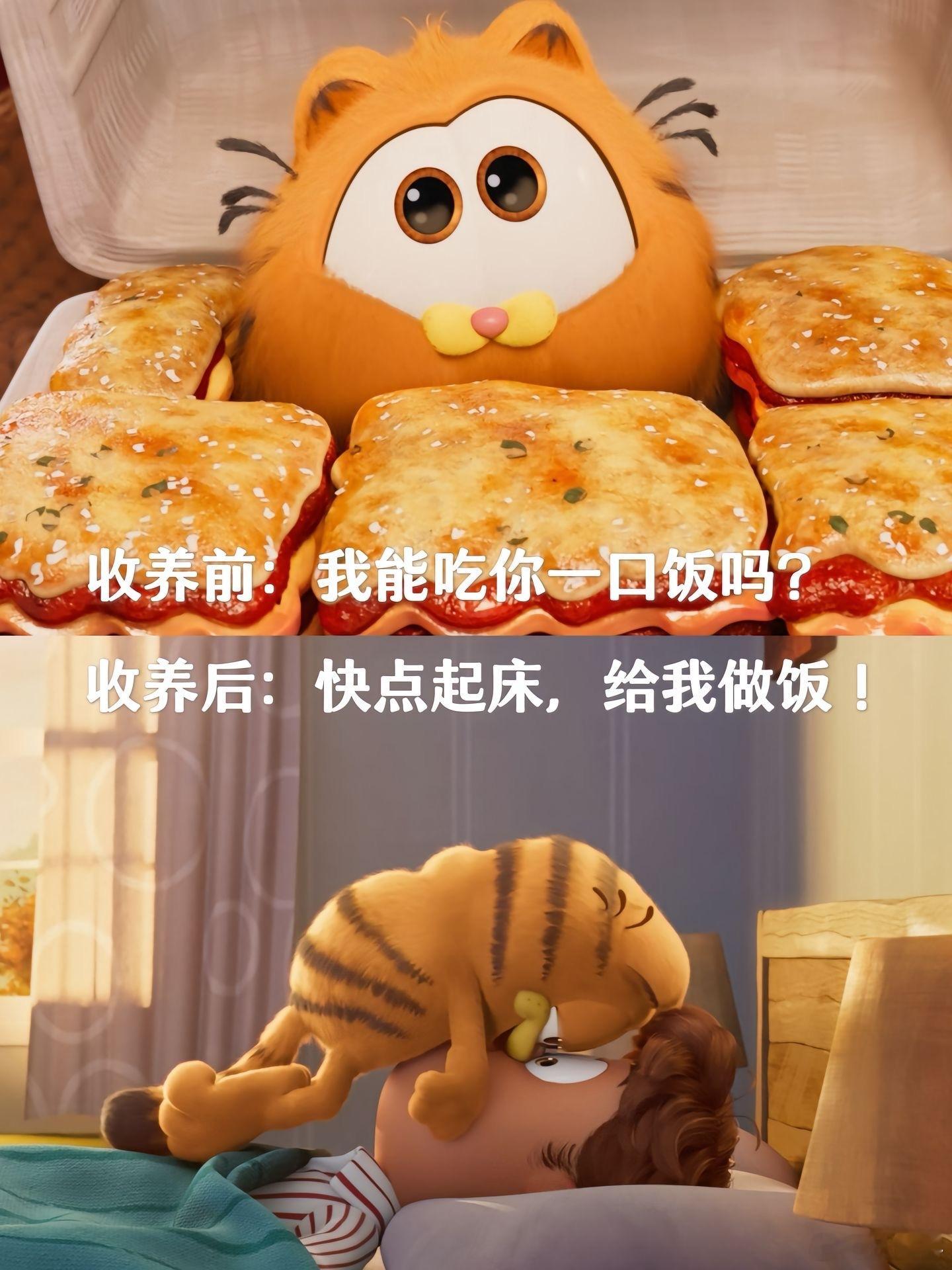 #小猫咪只是有两幅面孔罢了#喜欢小猫咪，不仅因为它们毛茸茸的可爱外表，还因为那捉