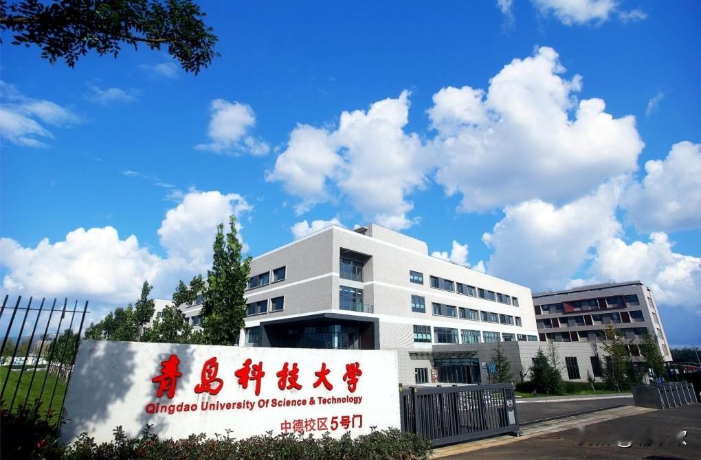 世界轮胎看中国，中国轮胎看山东，山东轮胎看广饶，广饶轮胎看大王，这是十年前中国轮