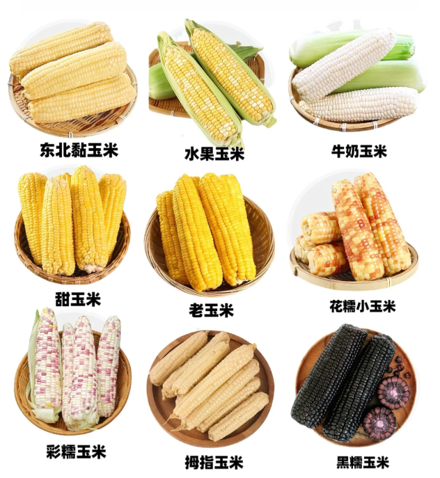 减肥 甜玉米 这么多玉米品种，我只吃过水果玉米和糯玉米[皱眉] ​​​