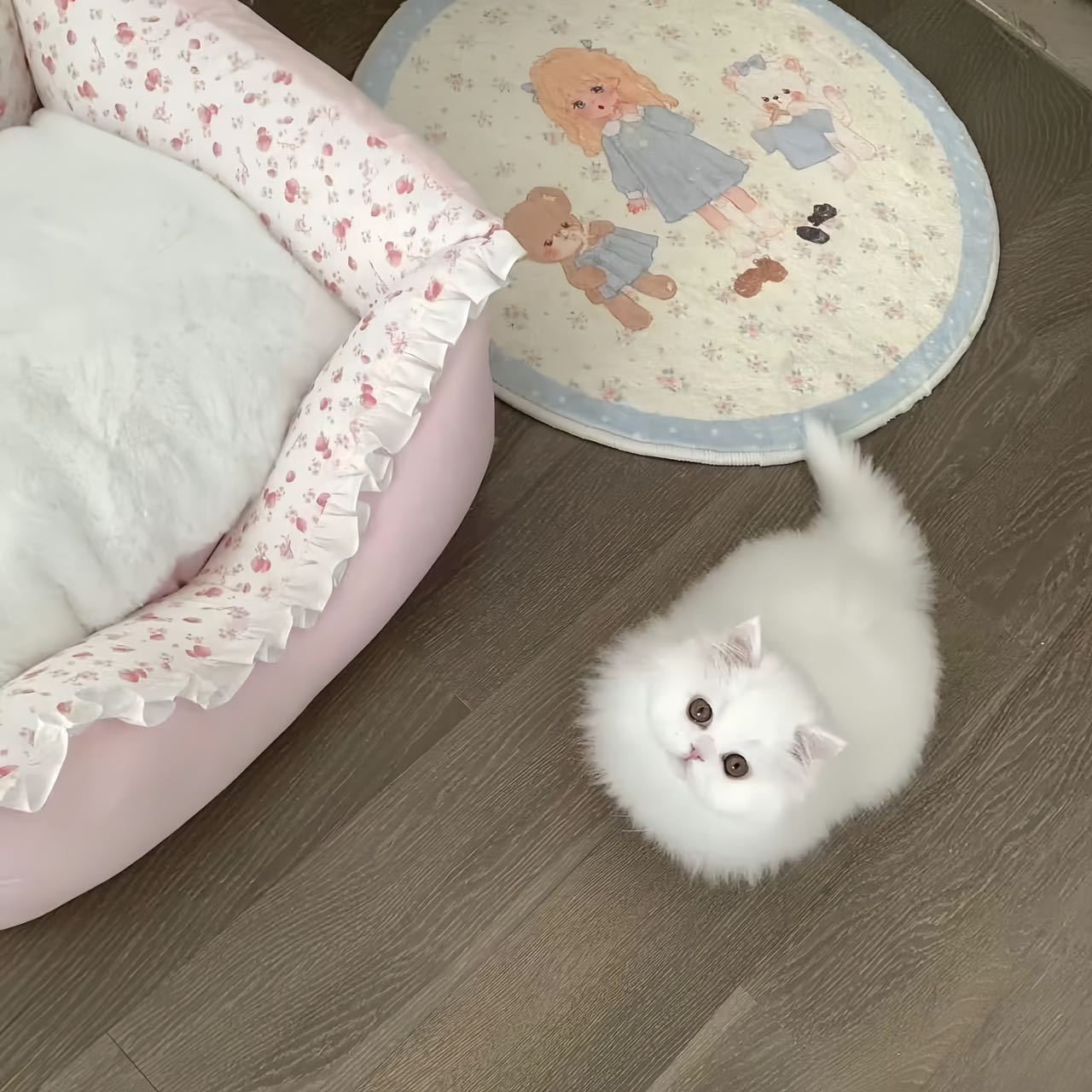 -𝐒𝐇𝐀𝐑𝐄｜田曦薇头像背景图搭配 ⸝⸝🐈꙳🪞◟💭。 
