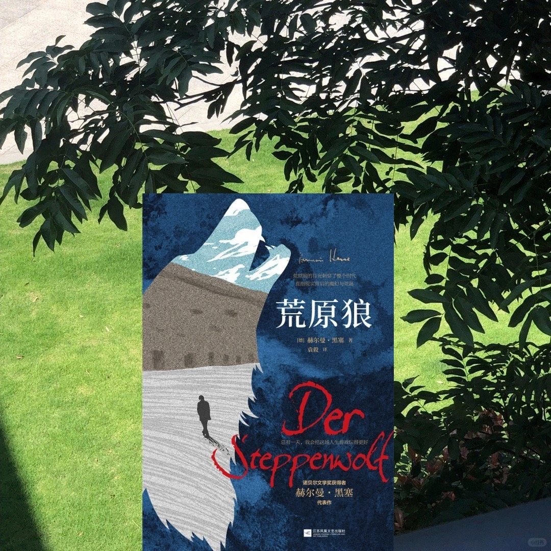荒原狼：游历自己内心的地狱