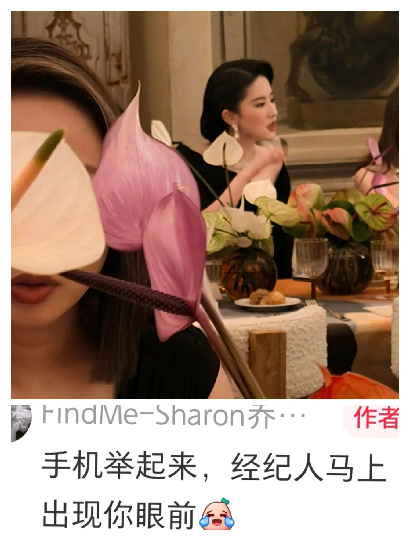 笑死 刘亦菲的神图竟然是偷拍的。