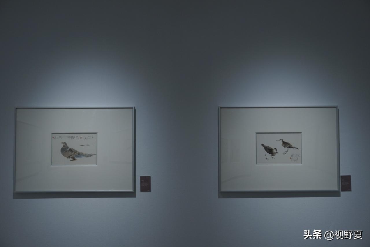 骗医保算诈骗吗,怎么判刑? 近期多地曝光骗保案件引发公众热议，不少人疑惑：骗医保