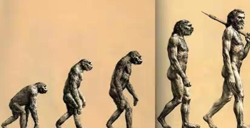 若人类全部灭绝，数亿年后，地球上有可能再次进化出人类吗？
若人类全部灭绝，数亿年