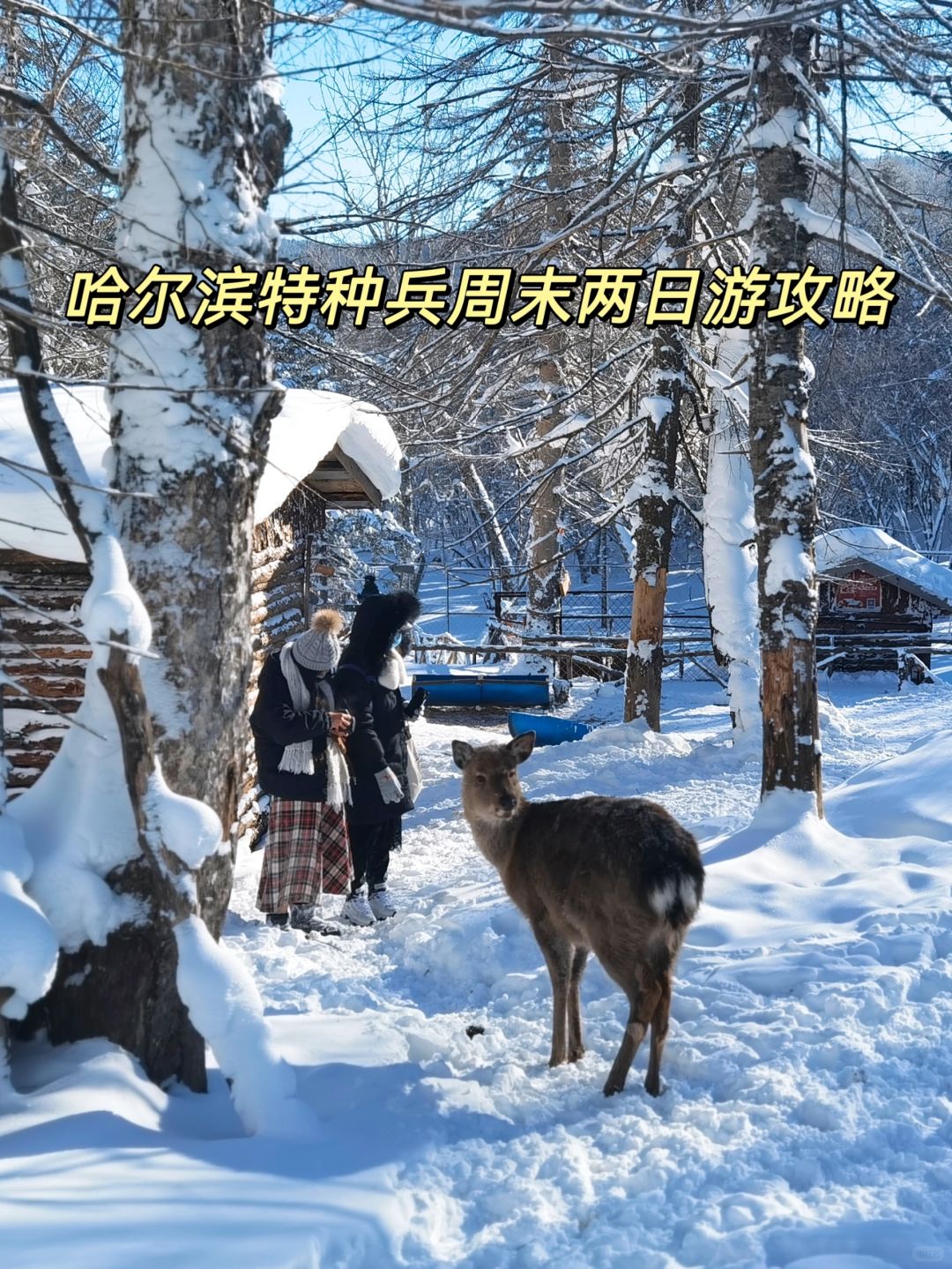 哈尔滨特种兵周末两日游攻略