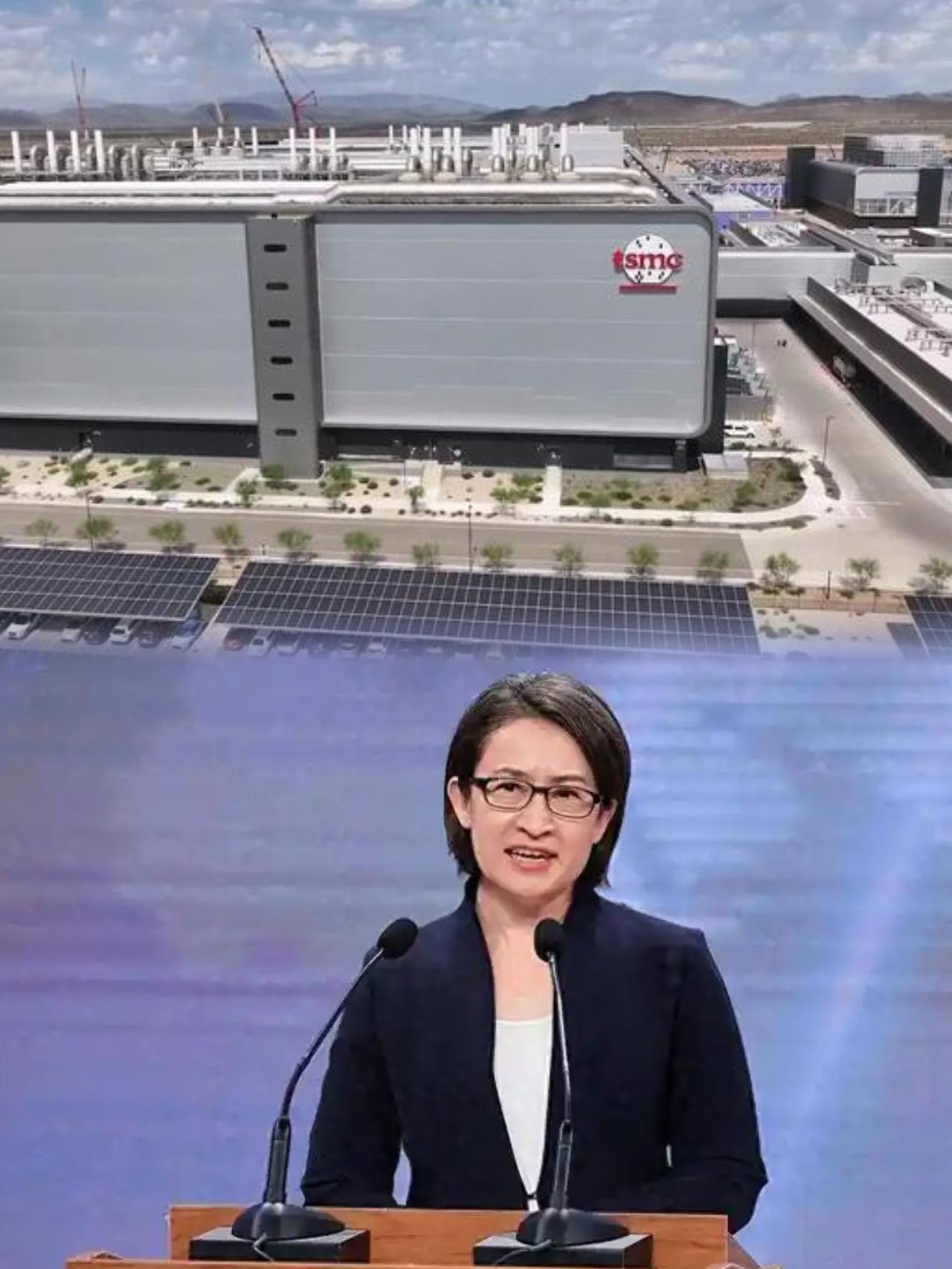 快讯！
又有大事发生！
台当局副领导人萧美琴宣布了一个重磅消息，台积电在美国亚利