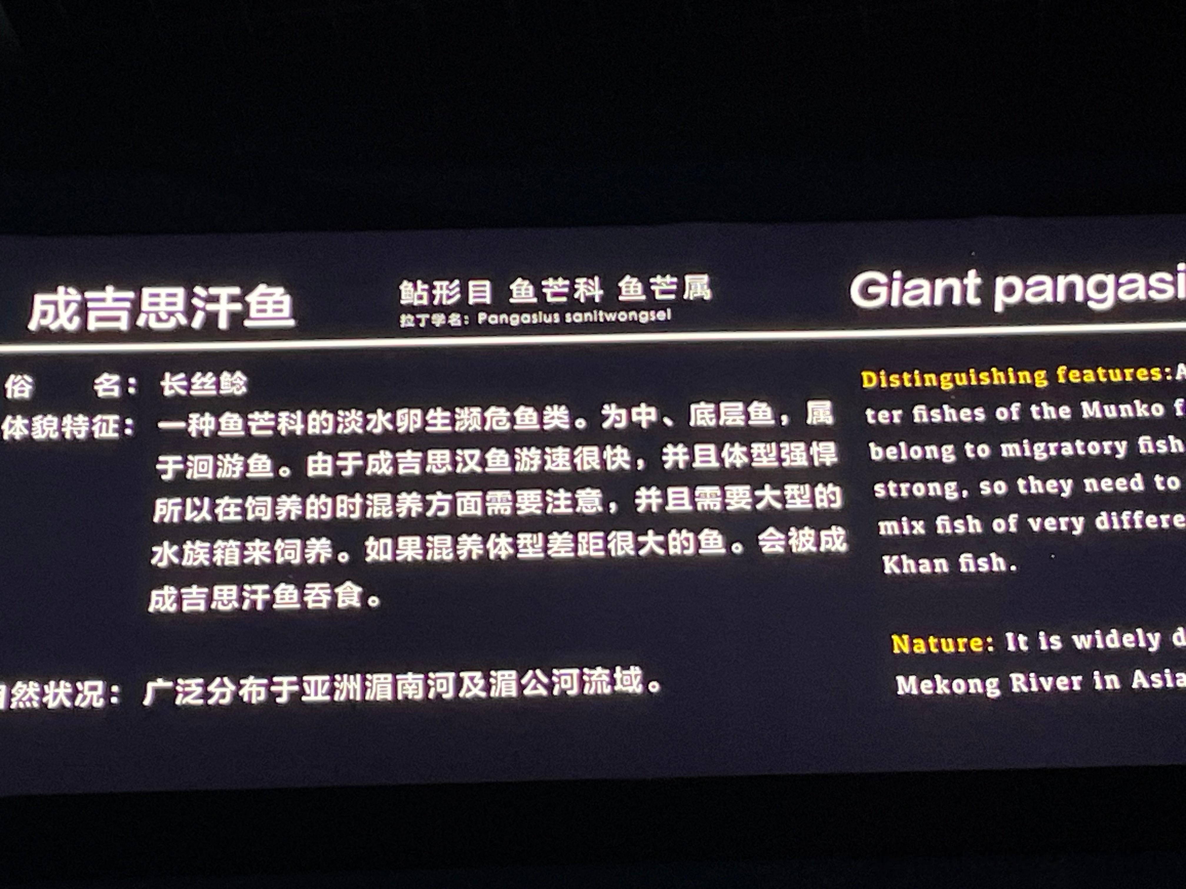 我参观的时候一般不太仔细看说明牌的，但是这次惊鸿一瞥，真的是被惊了......坐