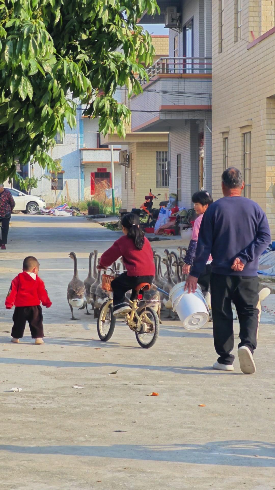 go这种充满活力的词，在乡村里听着格外治愈。跟着小伙伴们一起出发，好像瞬间回到了